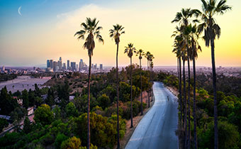 Los Angeles in the distance and palm trees lining the road