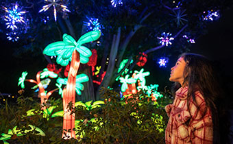 Little girl looking at the light display